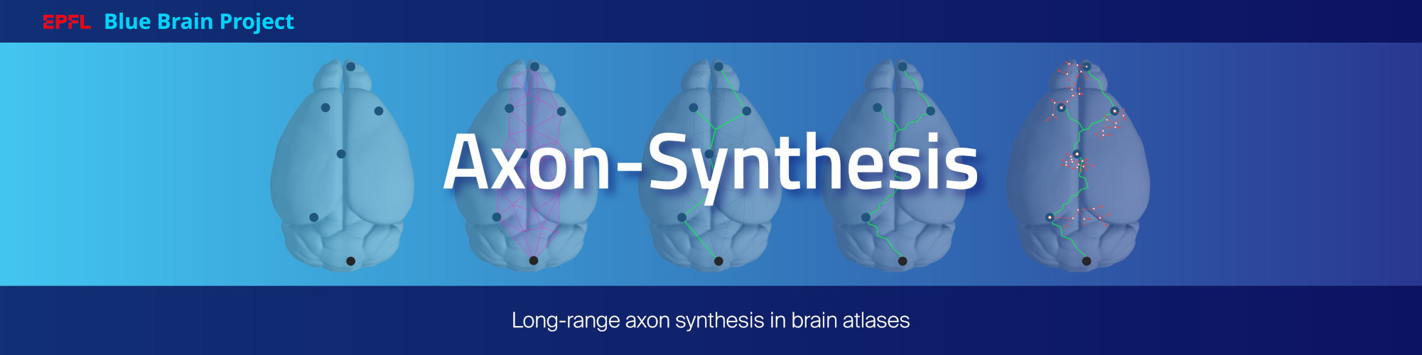 _images/BBP-Axon-Synthesis.jpg