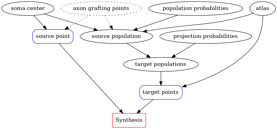 digraph {
    {
            atlas [label="atlas"]
            soma_center [label="soma center"]
            axon_grafting_pts [label="axon grafting points", style=dotted]
            pop_probs [label="population probabilities"]
            source_pop [label="source population"]
            source_pt [label="source point", shape=box, style=rounded, color=blue]
            proj_probs [label="projection probabilities"]
            target_pops [label="target populations"]
            target_pts [label="target points", shape=box, style=rounded, color=blue]
            synthesis [label="Synthesis", shape=box, color=red]
    }
        soma_center -> source_pop;
        atlas -> source_pop;
    pop_probs -> source_pop;
        soma_center -> source_pt;
        axon_grafting_pts -> source_pt [style=dotted];
        axon_grafting_pts -> source_pop [style=dotted];
    source_pop -> target_pops;
    proj_probs -> target_pops;
    target_pops -> target_pts;
    atlas -> target_pts;
    source_pt -> synthesis
    target_pts -> synthesis
    }