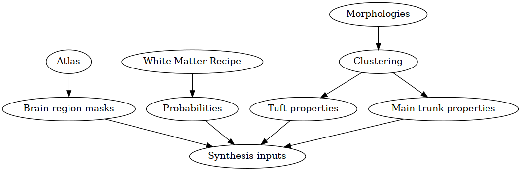 digraph {
   "Atlas" -> "Brain region masks";
   "White Matter Recipe" -> "Probabilities";
   "Morphologies" -> "Clustering";
   "Clustering" -> "Tuft properties";
   "Clustering" -> "Main trunk properties";
   "Tuft properties" -> "Synthesis inputs"
   "Main trunk properties" -> "Synthesis inputs"
   "Brain region masks" -> "Synthesis inputs"
   "Probabilities" -> "Synthesis inputs"
}